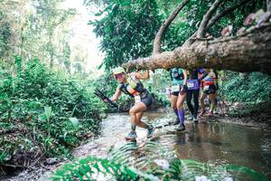 BIB: 
                            <button type="button" onclick="openModal(25459627)" class="btn btn-primary btn-sm float-right btn-popup" data-toggle="modal" data-target=".modal-high-quality">
                        <i class="fas fa-shopping-cart"></i> Add to Cart
                    </button>
                                            <button type="button" onclick="isThisMe(25459627, true)" class="btn btn-success btn-sm float-right btn-popup btn-isme hidden" data-toggle="tooltip" data-placement="bottom" title="นี่คือรูปของคุณใช่ไหม คลิกที่นี่เพื่อเอาเข้าอัลบั้ม">
                        <i class="fas fa-plus"></i> Add to album
                    </button>
                    <button type="button" onclick="isThisMe(25459627, false)" class="btn btn-warning btn-sm float-right btn-popup btn-isnotme hidden">
                        <i class="fas fa-ban"></i> Remove from album
                    </button>